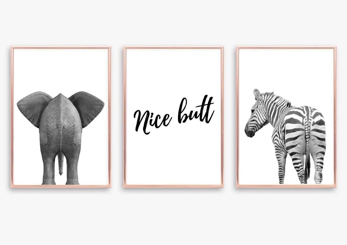 gfc Set of 3 funny bathroom Print Picture Poster zebra elephant Gift A4 UNFRAMED wall art Home decor Decorating Safari Jungle monochrome