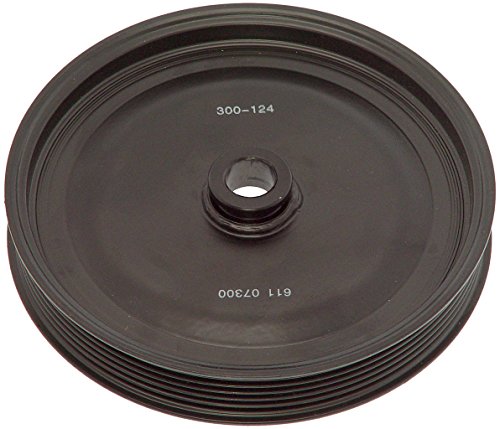 Dorman 300-124 Power Steering Pump Pulley Compatible with Select Cadillac / Oldsmobile / Pontiac Models