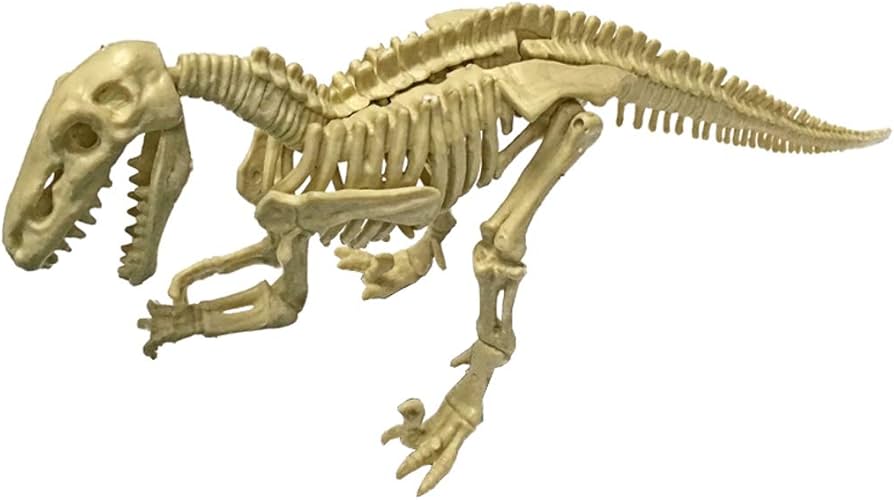 Amazon | モノクローム 恐竜化石発掘モデルシリーズ ディノニクス 全長