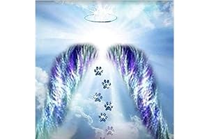 MaiYiYi 5D Angel Diamond Art: A Celestial Masterpiece