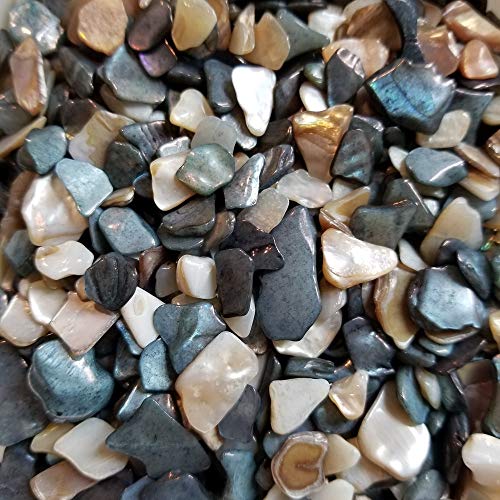 BeachWalk Small Natural Crushed Shells - for Weddings, Vase Filler, Home Décor, and Crafts (32 oz (2 lb), Desert Sand Pearl)