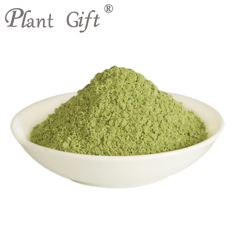 Plant Gift 100% Pure Lotus Leaf Flour 荷叶粉 Polvo natural de hoja de loto, excelente sabor para bebidas, batidos, tostadas, galletas, pasteles y bebidas, 100g / 3.25oz