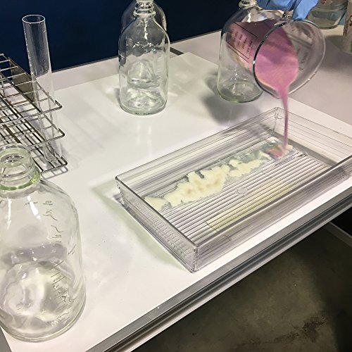 Absorbent Specialty Products Basepadcase Base Neutralizer Pads, Purple, 100 Count #TOP2