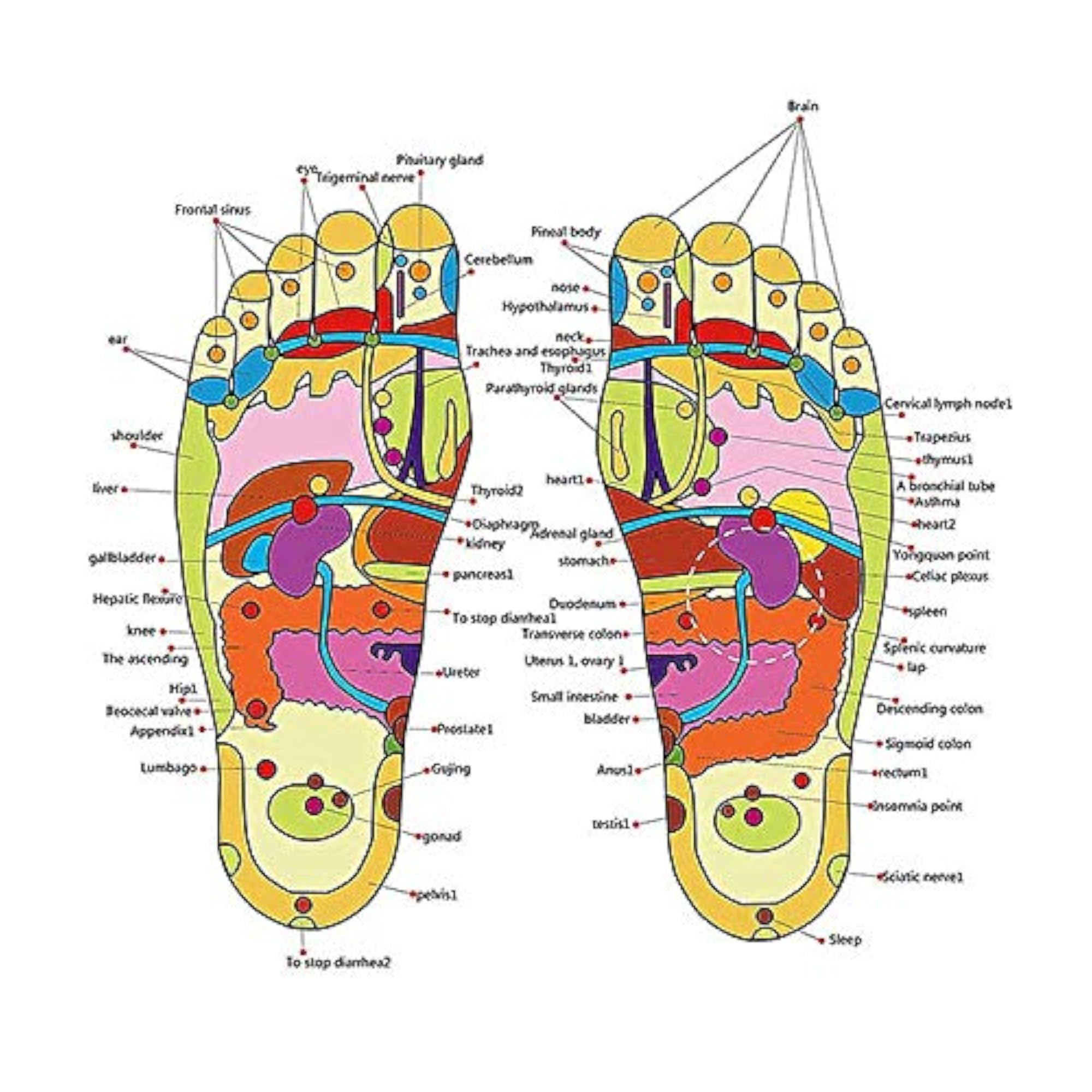 PCS POWEREST Acupressure And Magnetic Therapy Slippers