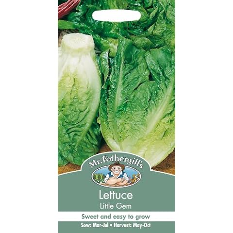 Mr Fothergill's Little Gem Lettuce Seeds Cover