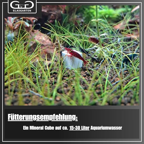 GlasGarten Mineral Pure Cubes | 8 STK. – Ergänzungsfutter/Mineralfutter für Ziergarnelen, Schnecken & Krebse, verbesserte Wasserqualität, direkte Einwirkung auf Gesamthärte & Leitwert