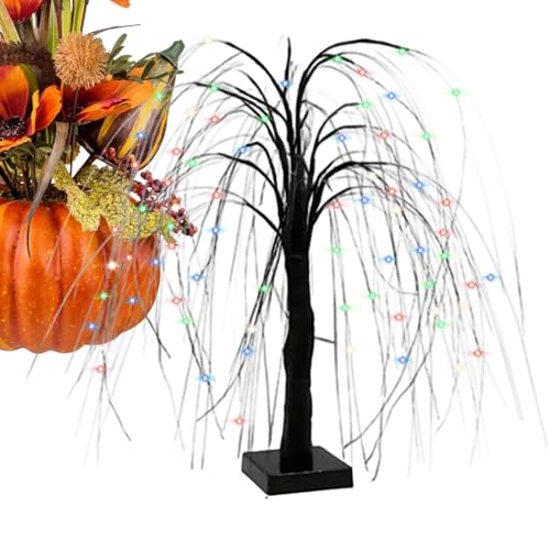 nEB ̖ Cg | zf[ iCg v fR[V | nEBCg Q  {I _CjOe[u xbhTCh iCgX^h oRj[ n rO[p