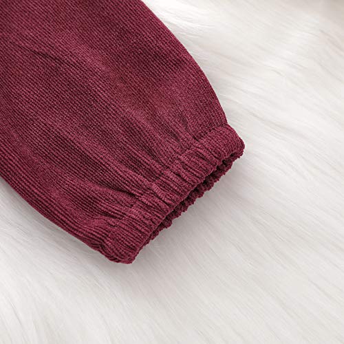 Toddler Baby Girls Corduroy Dress Ruffle Long Sleeve Button Vintage Princess Fall Winter Dress (B-Wine Red, 12-18 Months) #TOP3