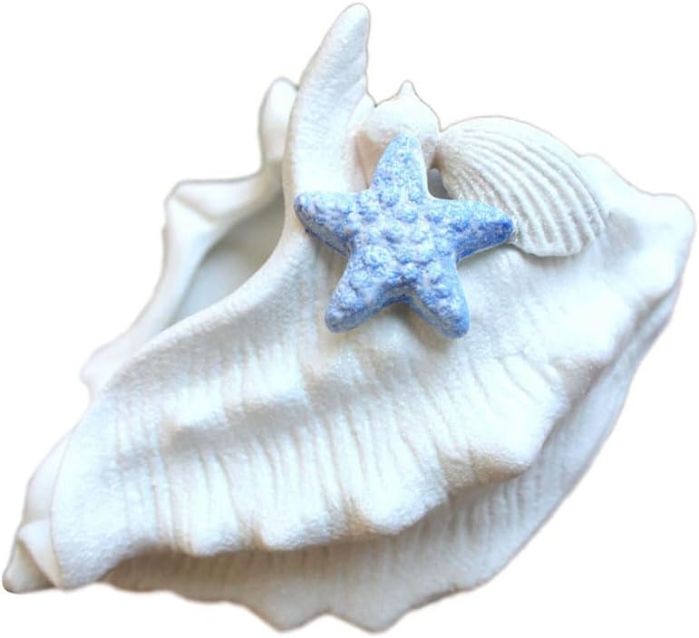 Yardwe Nautical Seashell Planter 7.5 Inch Ceramic Succulent Flower Pot Coastal Decorative Container for Indoor Bonsai Succulents and Small Plants