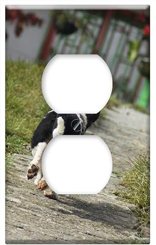 Switch Plate Outlet Cover - The Field Nature Armenia Quindio