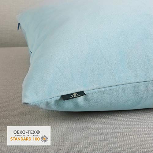Phantoscope Pack of 2 Velvet Decorative Throw Pillow Covers Soft Solid Square Cushion Case for Couch Light Blue 12 x 20 inches 30 x 50 cm