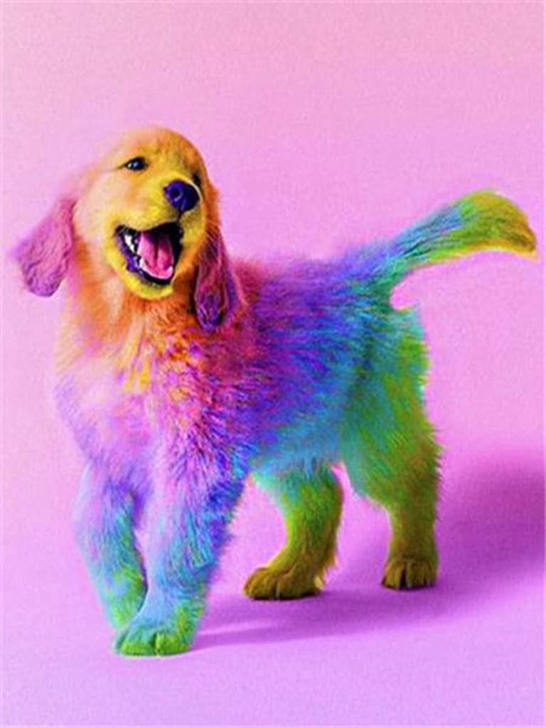 Amazon | LovetheFamily 虹色の犬 数字油絵 数字キット塗り絵 手塗り