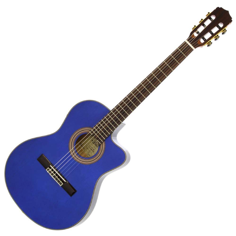 Aria アリア　A-48CE N FISHMAN エレアコ　ギター Amazon | ARIA A-48CE SBL エレガットギター アリア