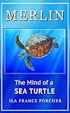 Merlin: The Mind of a Sea Turtle