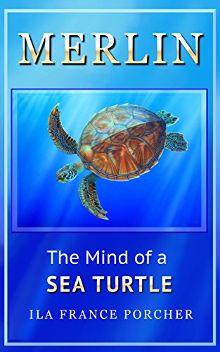 Merlin: The Mind of a Sea Turtle