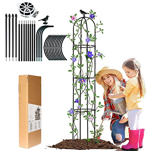 LIBRNTY Obélisque de Jardin pour Roses,2022 Birdhead Obélisque de Jardin Amélioré,Support pour Plantes grimpantes,GHrimpantes en Acier,Support de Fleurs en métal Noir pour Plantes grimpantes(146CM)