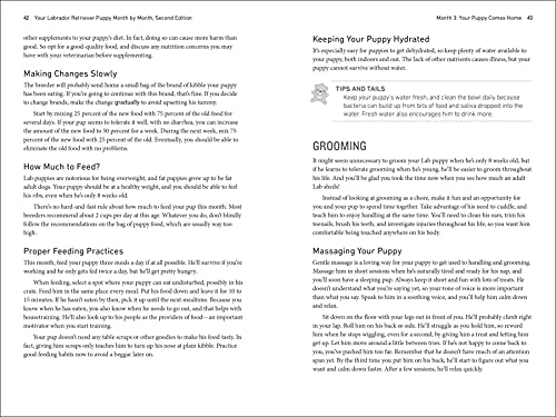 Your Labrador Retriever Puppy Month by Month, 2nd Edition: Everything You Need to Know at Each Stage of Development (Your Puppy Month by Month)