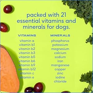 Native Pet The Daily Dog Supplement - 11 in 1 Dog Multivitamin - Tasty Scoop with Dog Vitamins and Supplements - Super Multi Vitamin for Dog Energy, Mobility, Skin & Coat - 12 Active Ingredients 14 oz Native Pet The Daily Dog Supplement – 11 in 1 Dog Multivitamin – Tasty Scoop with Dog Vitamins and Supplements – Super Multi Vitamin for Dog Energy, Mobility, Skin & Coat – 12 Active Ingredients 14 oz