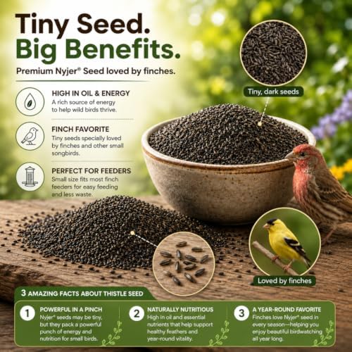 Chirp & Maple Nyjer Bird Seed – Premium No Mess Niger Thistle Seed for Finches & Songbirds | High Energy Wild Bird Food | Attracts Goldfinches, Redpolls & Siskins – 1KG — view 3