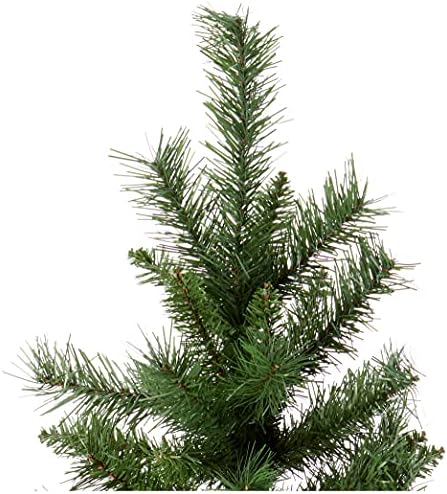 Amazon Basics Artificial Christmas Tree, 569 Branch Tips with Metal Stand, 180 cm Height