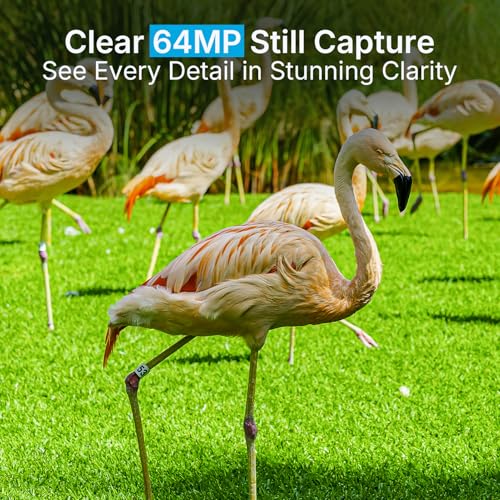 image for Meidase P70 (Non-Cellular,Non-WiFi) Trail Camera, 64MP 1296p, Game Cam