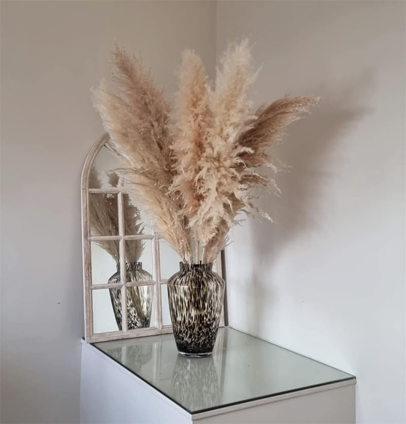 Pampas Grass Grande Beige Natural Hierba Decorativa 3pcs miniatura 4