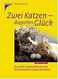  Zwei Katzen - doppeltes Glück: Auswahl, Eingewöhnung und harmonisches Zusammenleben