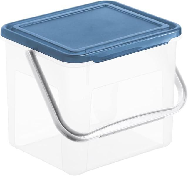 Rotho Basic Storage Box 5l with lid and Handle, Plastic (PP) BPA-Free, Transparent/Blue, 3kg/5l, (21 x 20 x 18 cm)