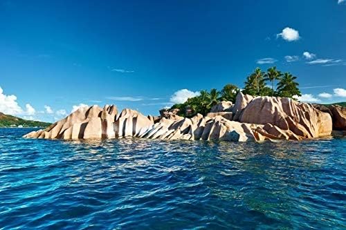 [LG style3 L-41A/docomo専用] Coverfull スマートフォンケース ミジンコ イエロー （クリア） de