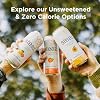 Steaz - Organic Green Tea - Blueberry Pomegranate (12 Pack) - Antioxidant Brew - 65mg Natural Caffeine, 90 Calories, Vitamin C - Cane Sugar Sweetened Iced Tea - Vegan - 12 Cans, 16 fl oz (473mL)