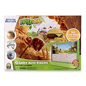 Uncle Milton Giant Ant Farm – Large Viewing Area – Care for Live Ants – Nature Learning Toy – Science DIY Toy Kit…