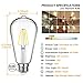 MAXvolador Edison Bulb, Dimmable Vintage LED Filament Light Bulbs Warm White 2700K, 4W ST64 LED Lights 40W Equivalent, E26 Base, Pack of 12
