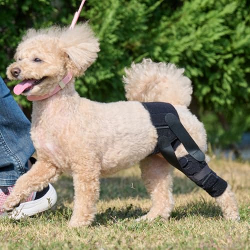 �A�j�t�� (anifull) �A�j�T�| �p�e���� �E�� �u���b�N �� XS �T�C�Y