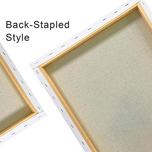 Phoenix Stretched Canvas For Painting 16X20 Inch/5 Value Pack, 8 Oz Triple Primed 5/8 Inch Profile 100% Cotton White Blank Canvas, Large Framed Canvas For Oil Acrylic & Pouring Art #TOP4