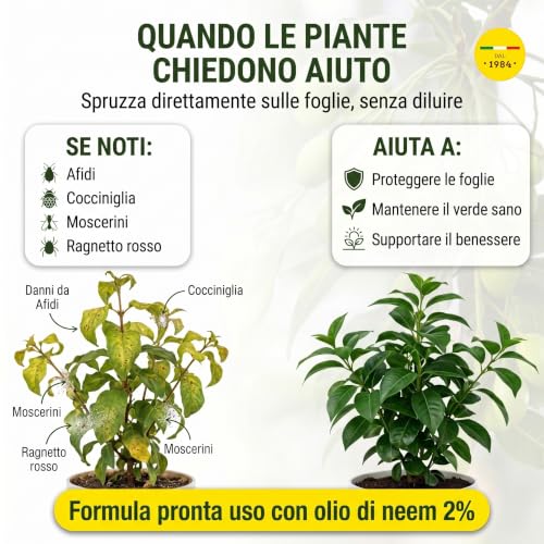 Aceite de neem para proteger tus plantas de terraza en botella de 1L 7