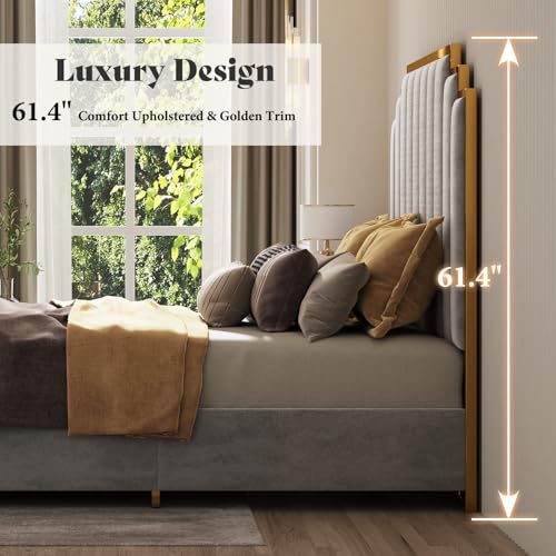 Image of AMERLIFE Queen Size Upholstered Bed, Modern Velvet Bed Frame with 61.4 inch Tall Gold Trim Headboard, No Box Spring Needed, Grey