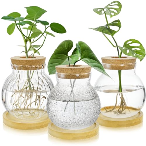 YIMITEE 3 Pack Plant Propagation Station, Tabletop Plant Terrarium with
