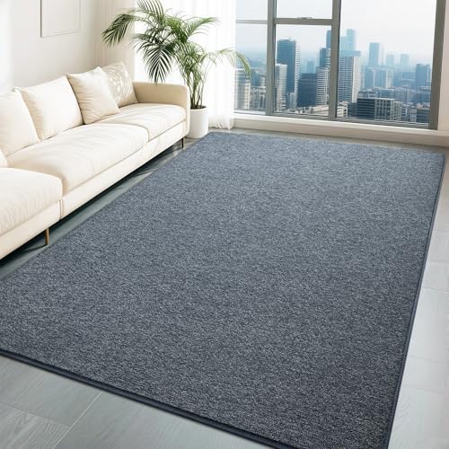 HQAYW 6x9 Large Area Rugs for Living Room Bedroom, Modern