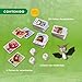 Imagen de HABA 304071