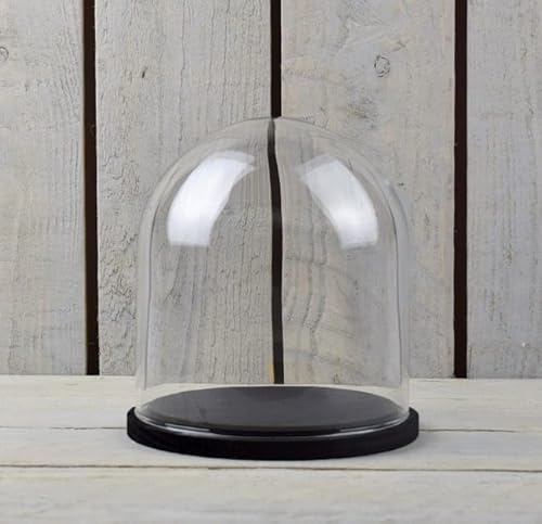 EMH Mouth Blown Clear Circular Glass Dome Display Cloche With Black Base 16 x...