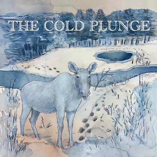 The Cold Plunge copertina
