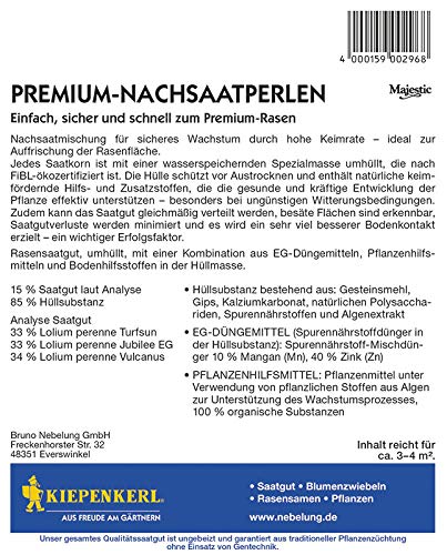 Kiepenkerl 296 Premium-Nachsaatperlen (Rasensamen) - Image 3