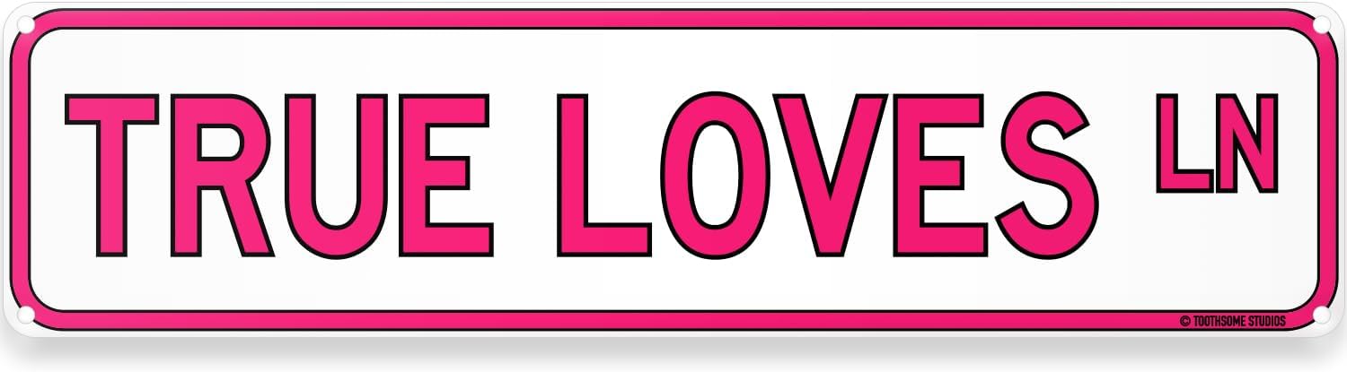 Shut Up And Kiss Me Street Sign 16" x 4" Valentines V Day Lovers Theme Cute Love Message Home Decor Wall Decoration (Shut Up Kiss Me) image 5
