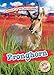 Pronghorn (Blastoff Readers. Level 2: Animals of the Grasslands)