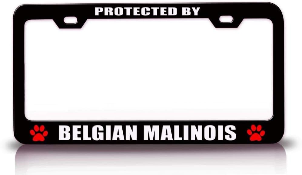 Protected by Belgian Malinois Dogs Metal Car SUV Truck License Plate Frame Bl c86
