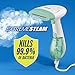 Conair Handheld Garment Steamer for Clothes, ExtremeSteam 1200W, Portable Handheld Design,White/Light Green
