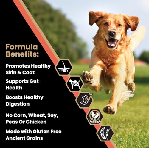 Image of VICTOR Sensitive Skin & Stomach - Salmon Meal & Brown Rice Dog Food, 5 lb | Super Premium Dog Food, Gluten Free, No Chicken, Ideal for Dogs with Allergies, Dry Kibble, Adult and Puppy Dog Food, 5lbs