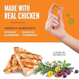 Pet botanics 12 oz Pouch coaching rewards jerky bites hen recipe with 225 treats per bag the selection of high trainers   cucciolini doodles