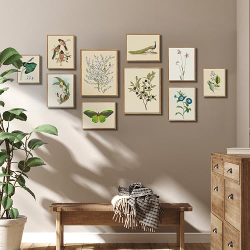 crmotu Botanical Framed Wall Art, Blueberry Plant Canvas Prints, Minimalist Vintage Wall Decor Living Room Bathroom Bedroom, Nature Fruit Rustic Farmhouse Kitchen Decorations Pictures, 12x16inch