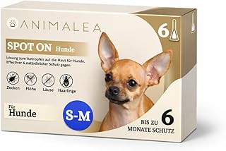 Spot On für kleine Hunde (bis 15kg) - [6 Monate Floh- und Zeckenschutz] für Hunde 6x2ml – Zeckenmittel für Hunde mit natürlichen Inhaltsstoffen– Effektiver Zeckenschutz Hund
